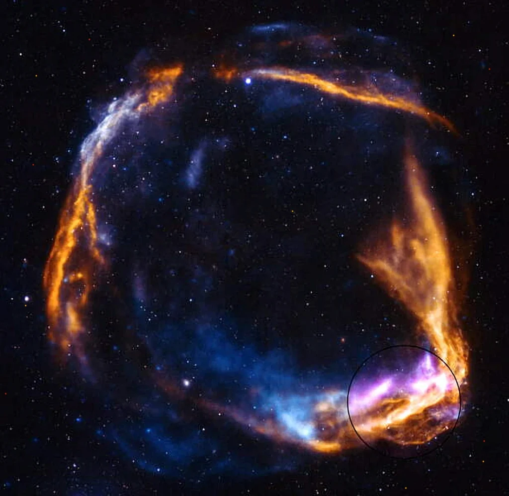 Supernovae - James Webb 2026 - Lyrae Sphère