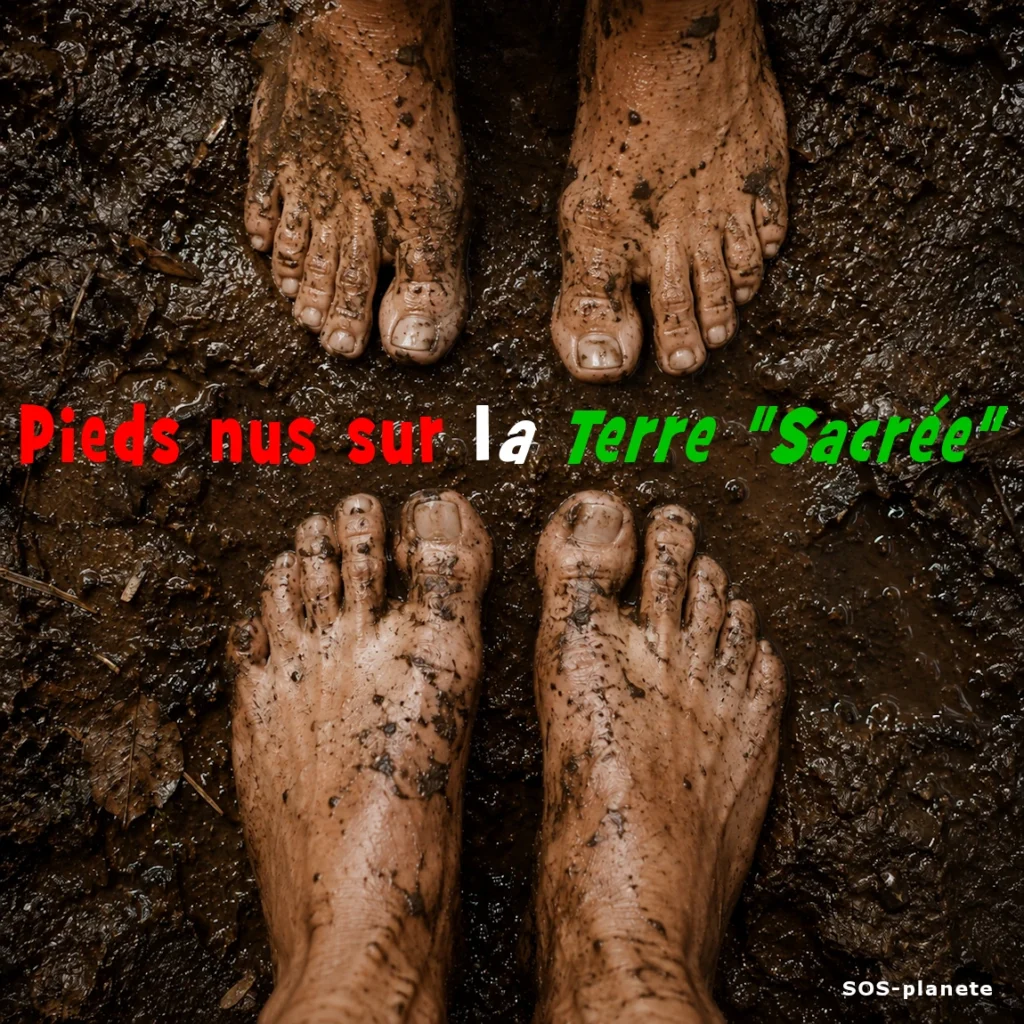 Pieds nus sur la Terre Sacrée - SOS-planete - La Biosphère se Réchauffe: Une drôle d'énigme sans coupable?