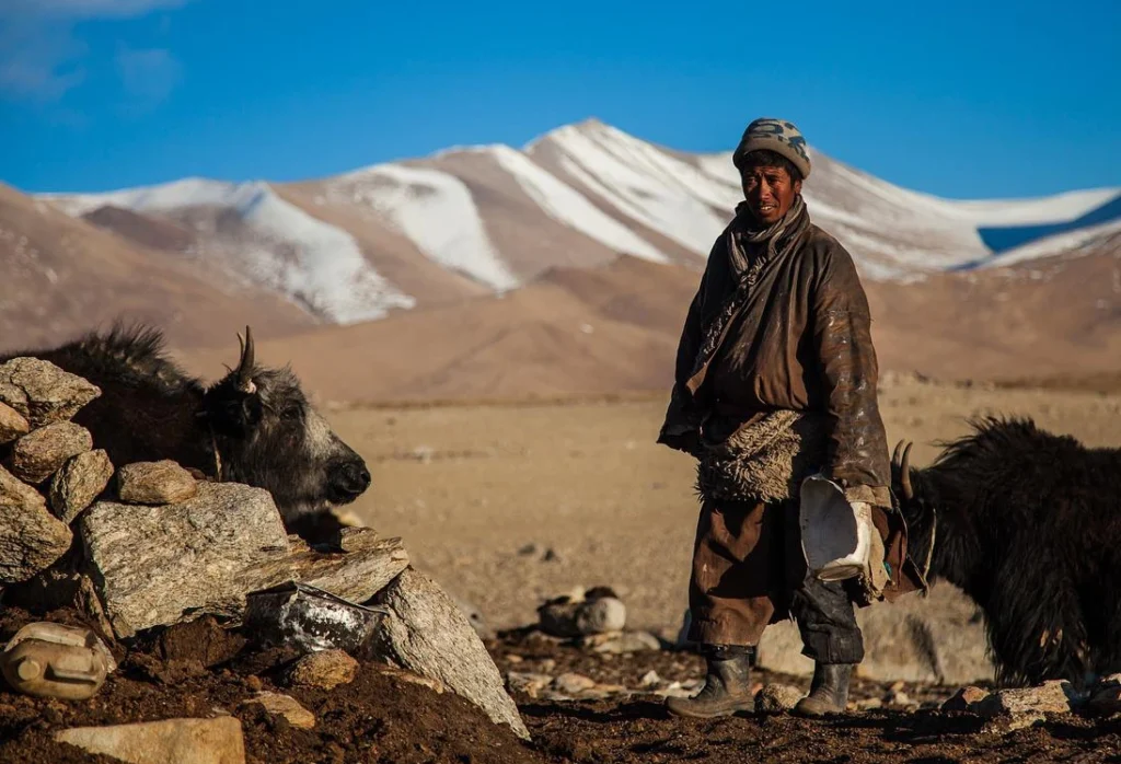 Steppes mongoles - Entrepôt 13 (Warehouse 13) : la Fiction qui Rejoint le Réel - Lyrae Sphère